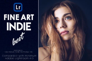 Download Fine-Art Indie Lightroom Presets - Fine Collection