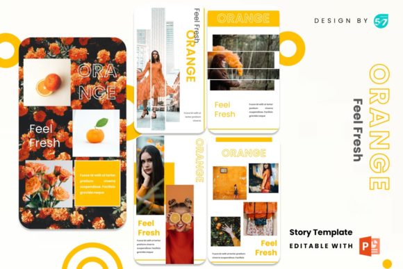 Download Instagram Stories Template - Orange - Orange Collection